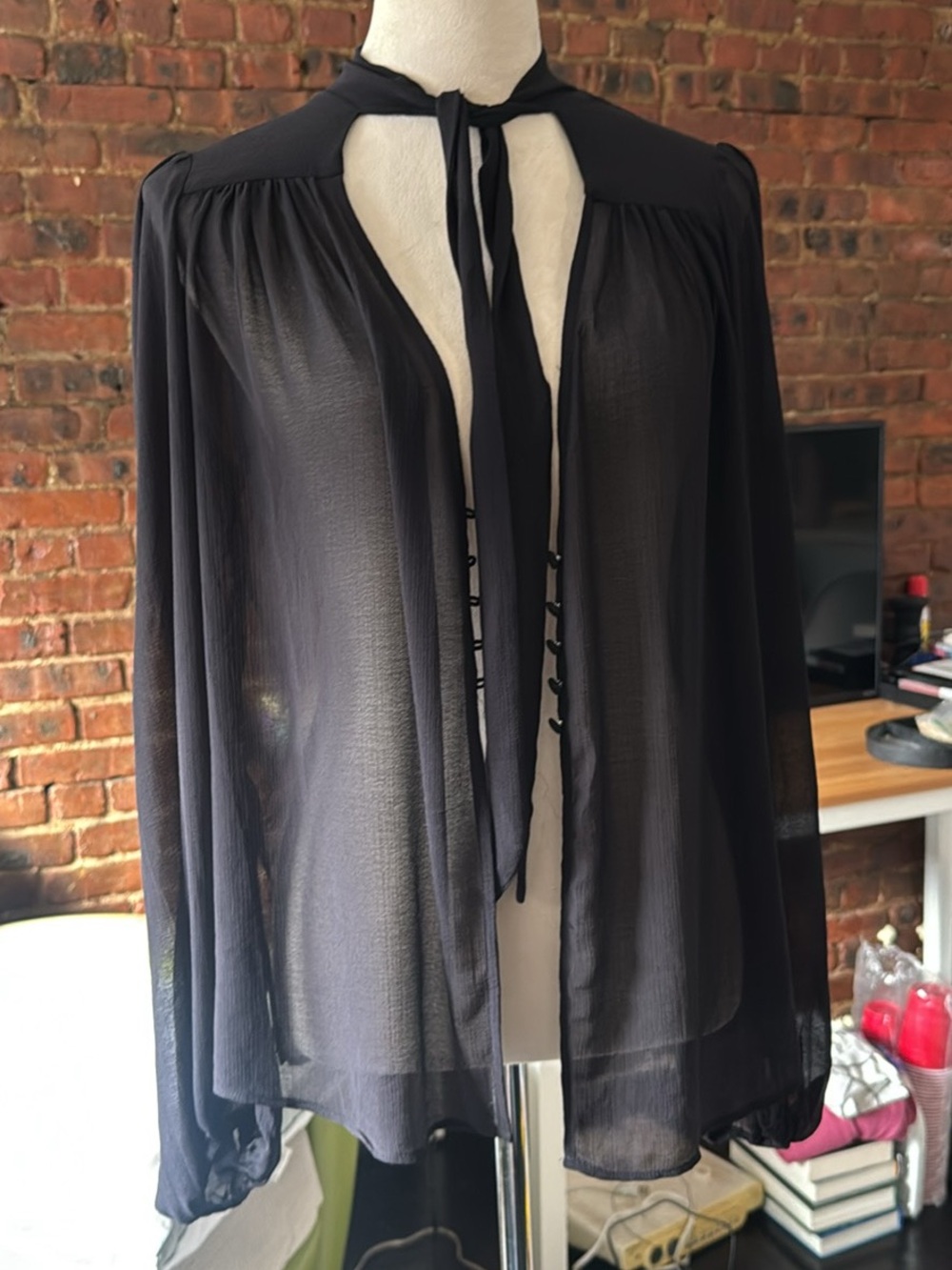 Urban Outfitters Sheer Black Tie-Neck Blouse